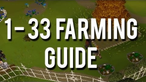 Runescape 2007: How to Get 1-33 Farming without Actually Farming