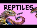 Reptile World Exploration Quiz