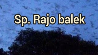 SP. RAJO BALEK cocok di gunakan di lokasi sentral walet ataupun di lokasi pakan burung walet