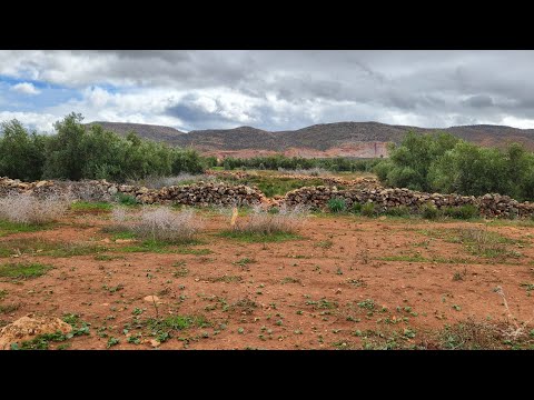 الطبيعة تنسيك الهموم