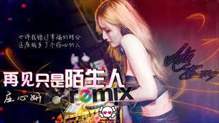 庄心妍 Ada Zhuang   再见只是陌生人「DJ REMIX 伤感舞曲 🎵」超劲爆 ⚠  JR REMIX 