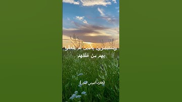 تلاوة مؤثرة من سورة آل عمران 🔥 | استمع وتدبر #القرآن_الكريم #اكسبلور #القرآن_الكريم #المصحف