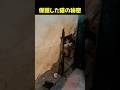 ついてきた理由…病院で知った“本当の目的”に涙