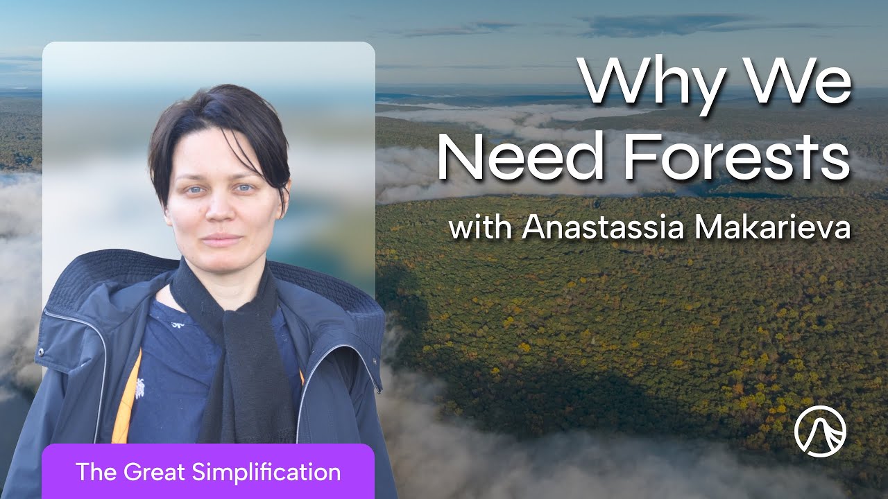 Their Vital Role in Climate Dynamics, Rain, and The Biotic Pump with Anastassia Makarieva | TGS 193