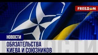 Украинский план вступления в НАТО: разбор