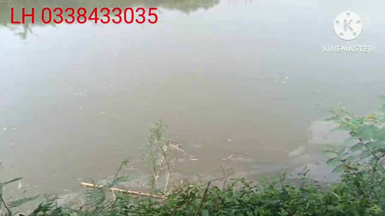 Cần bán 10h đất vườn nguồn nước đầy đủ xã đoàn kết bù Đăng Bình Phước 