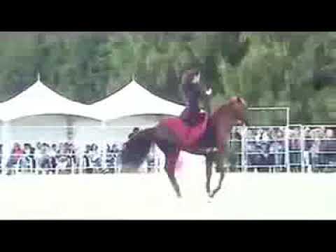 عربی گھوڑا ڈانس 