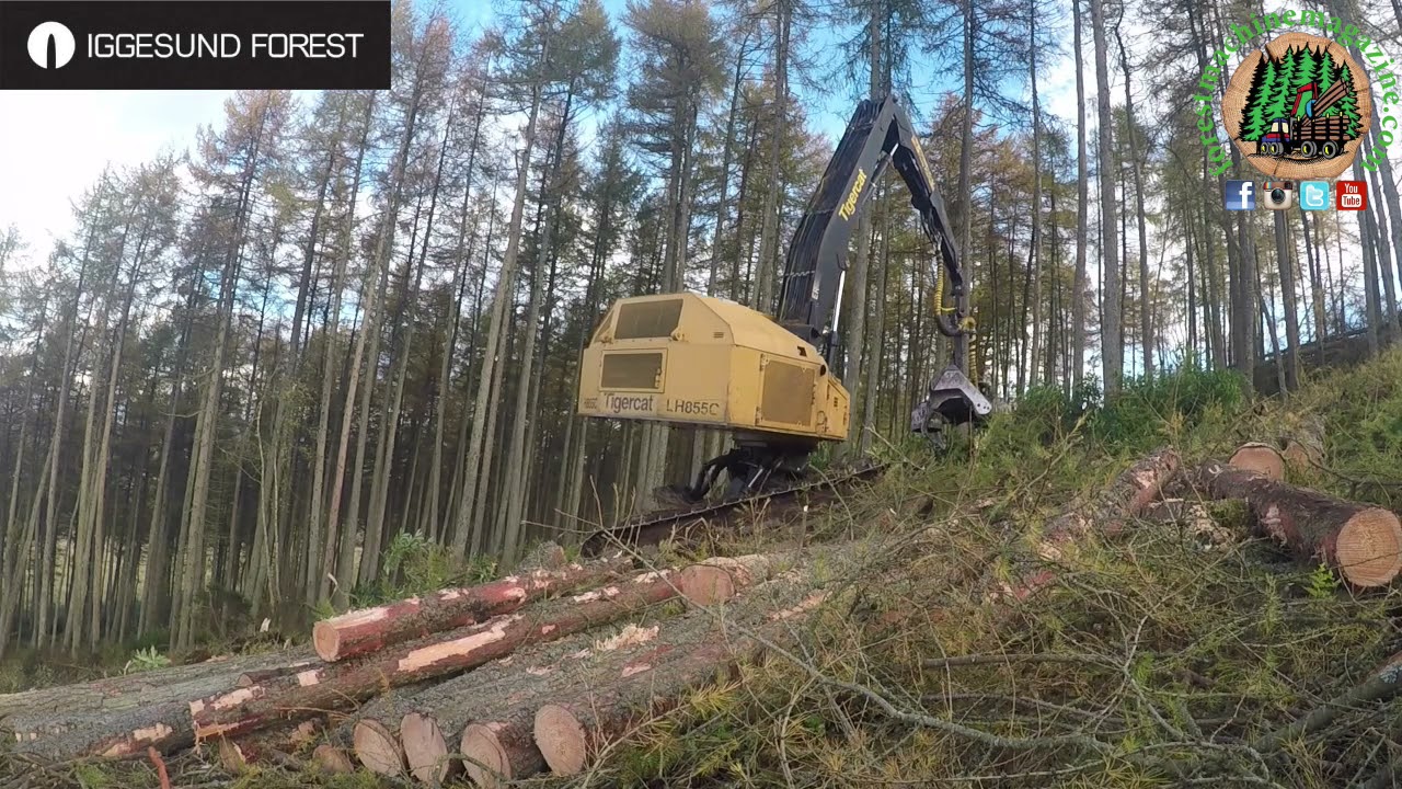 Iggesund Vyking Bars