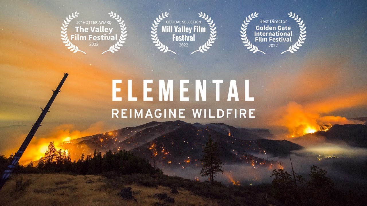 Elemental, Exclusive Clip - YouTube