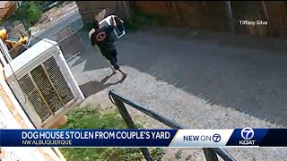 Albuquerque family says dog house thief caught on camera