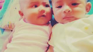 Hbd Istriku And Taqif