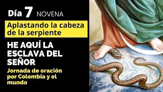 7. NOVENA HE AQUI LA ESCLAVA DEL SEÑOR. Aplastando la cabeza de la serpiente | Misión Ruah
