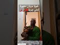 ملا زكرة وملا فنان احلا مروان فيك يا جربة Djerbahood مزود 