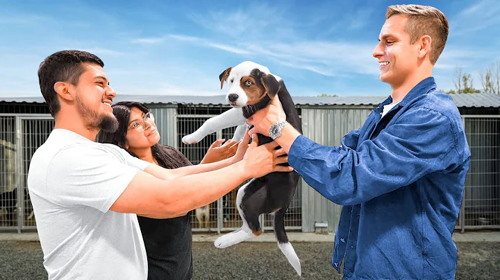 I Adopted EVERY Dog In A Dog Shelter