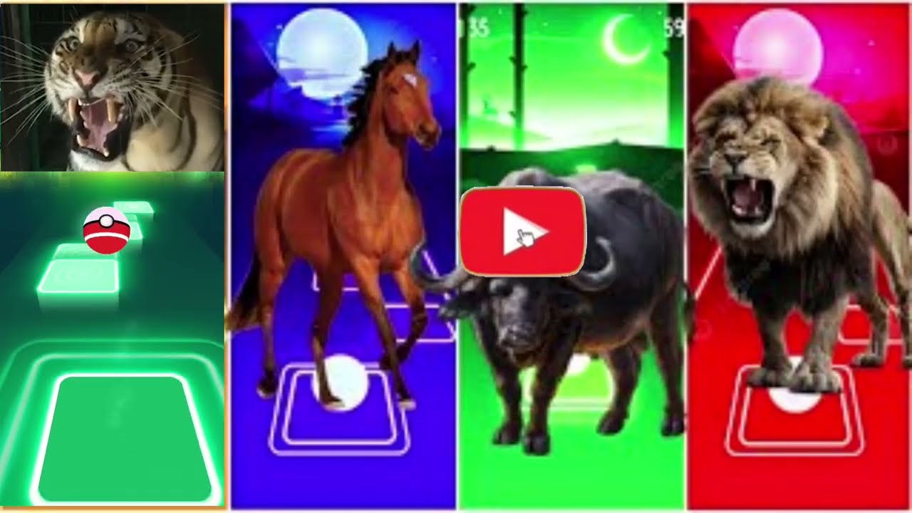 Funny Tiger🐅🆚Funny Horse🐎🆚Funny Cow🐃🆚Funny Lion🦁