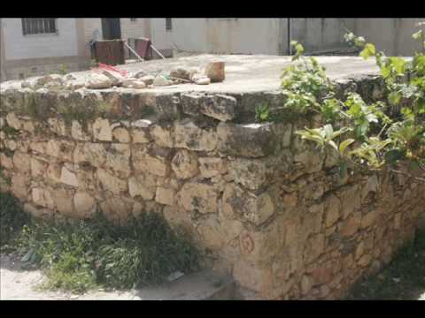 يا زريف الطول وقف تاقلك رايح عالغربه واللبن احسلك