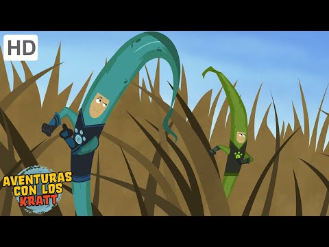 Aventuras con los Kratt | El juego de la cadena alimentaria | Episodio Completo | Temporada 1