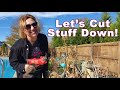 Cleaning up the Shade Garden, the Secret Garden and the Wave Painting in My Carolina Garden