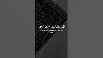 لا يغرنك تقلب الذين كفروا في البلاد | سعود الشريم شاشة سوداء قران بدون حقوق سورة آل عمران #كرومات
