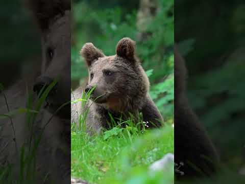 Забавные факты о