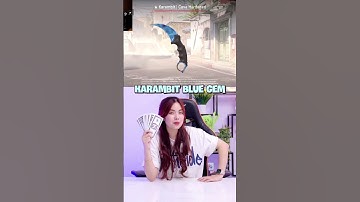 Tại sao Ski CS2 lại đắt như vậy P2