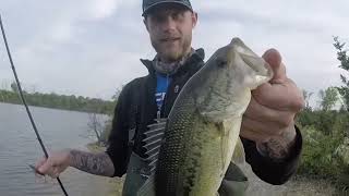 Illinois Bass Fishing | Bass Lake Using crank baits to catch Largemouth bass in waders Tips For Bass