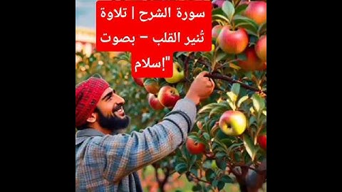 سورة الشرح | تلاوة تُنير القلب – بصوت إسلام" #تلاوة_خاشعة