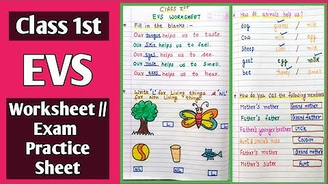 EVS Worksheet of Class 1st // EVS Exam Preparation Sheet for Grade 1st @kidslearningfun2013