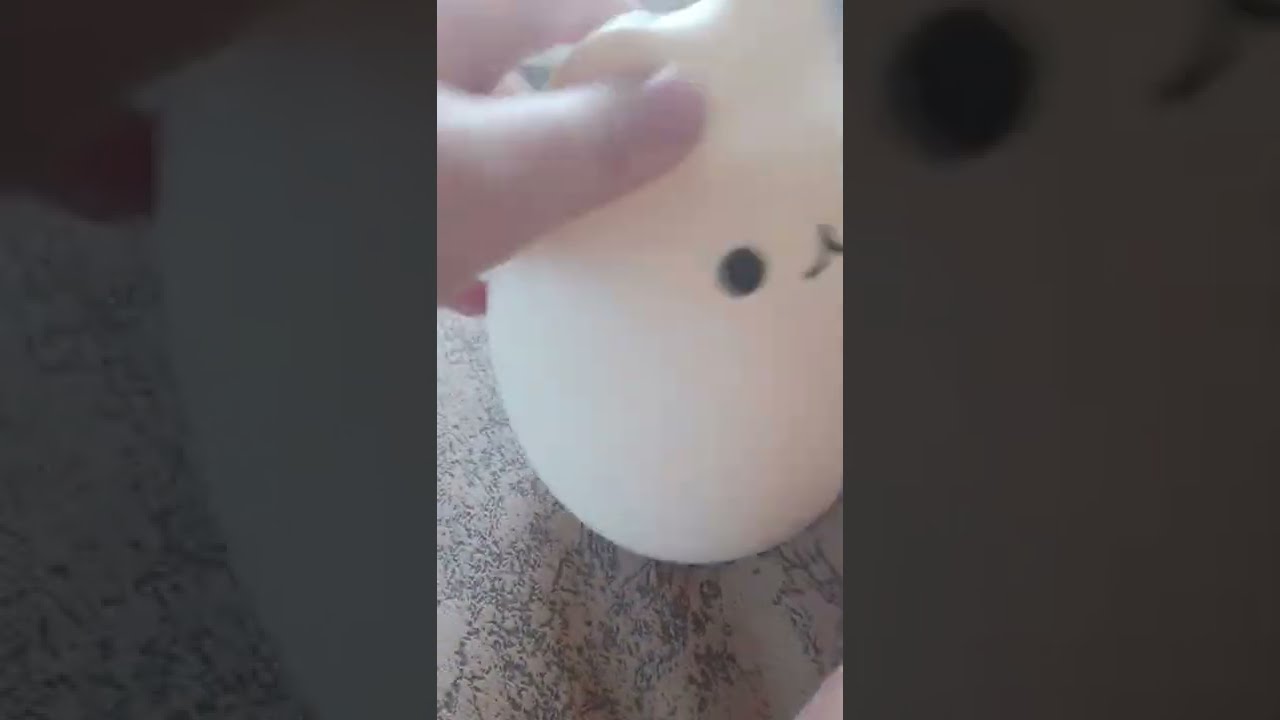 Eggcat 