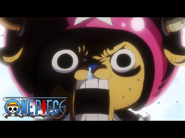 Saga One Piece - Pelo Menos Um Episódio Por Dia (episódios 1-35) -  Compilação 