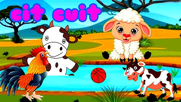 Lagu Anak Anak -- Cit CIT Cuit -- Bebek Berenang -- Bebek Nyosor -- Lagu Anak Lucu Populer