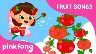 Tomato-Red Red To-To-Tomato | Tomato Song | Fruit Song | Pinkfong Songs for Children