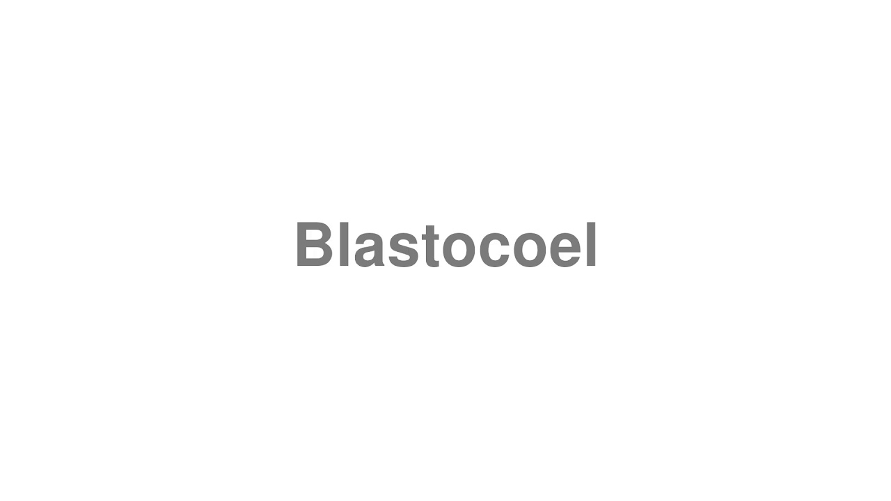 How to Pronounce "Blastocoel"