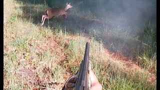 SC Deer Hunting w/ Dogs  Sneaky Deer Buss Out On Me About 5 yards Away!