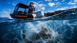 This is why you drop big baits offshore screenshot 1
