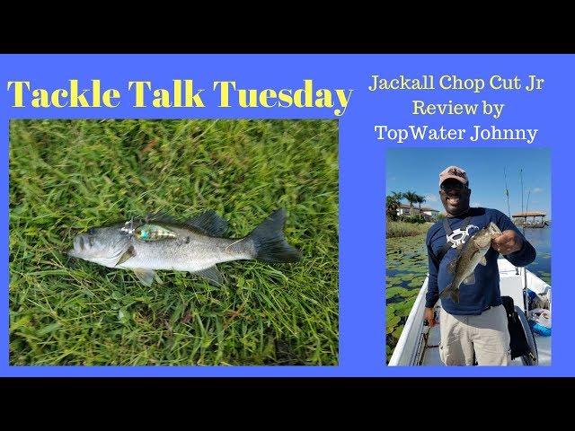 Jackall Chop Cut jr Catches Big Bass 