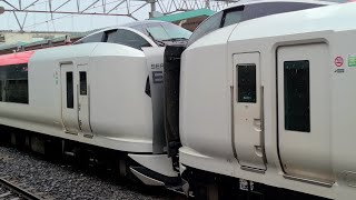 【成田線】2021M 特急 成田エクスプレス22号 E259系Ne011編成 Ne019編成 成田駅 通過シーン