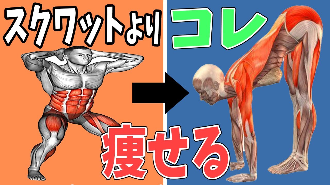 Eng 한 痩せるなら腹筋500回よりウェーブスクワット Youtube Eng 한 痩せるなら腹筋500回よりウェーブスクワット Youtube