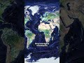 EP09 🧭 Animals Follow Invisible Maps…