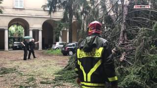 Tromba d'aria, gru si abbatte sulla Curia