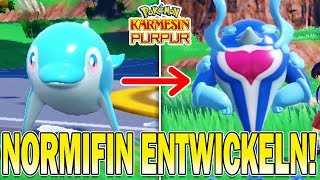 Normifin Fundort & Zu Delfinator Entwickeln In Pokemon Karmesin & Purpur