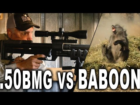 .50 BMG vs Baboon | PEST CONTROL!