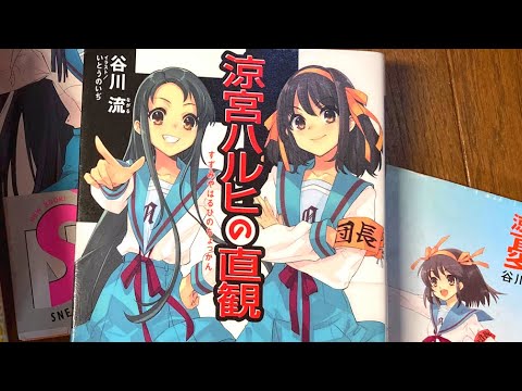 本感想『涼宮ハルヒの直観』