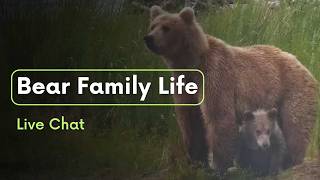 Bear Family Life | Brooks Live Chat