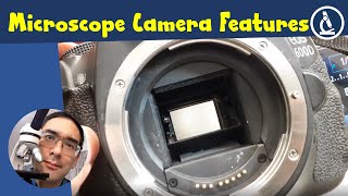 🔬 Thoughts on choosing a (DSLR) camera for the microscope | Amateur Microscopy