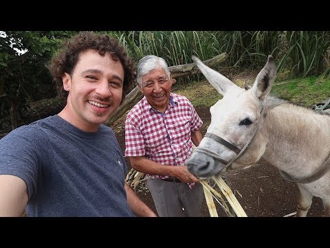 Este hombre se hizo millonario trabajando con su burro | Galápagos 🏝
