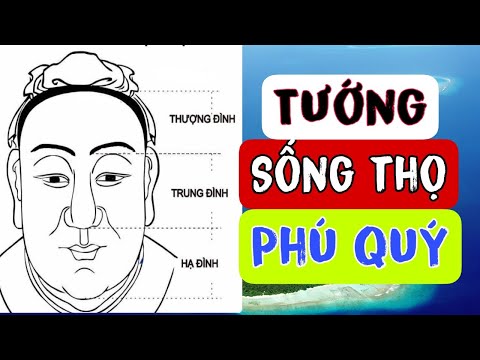 Video: Những Người Trụ Cột Trong Gia đình Của Chúng Tôi Trồng Cây Lấy Củ