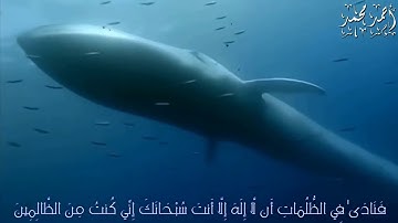 وَذَا النُّونِ إِذ ذَّهَبَ مُغَاضِبًا | للقارئ عبد الباسط عبد الصمد