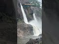 Kerala - athirampally waterfalls