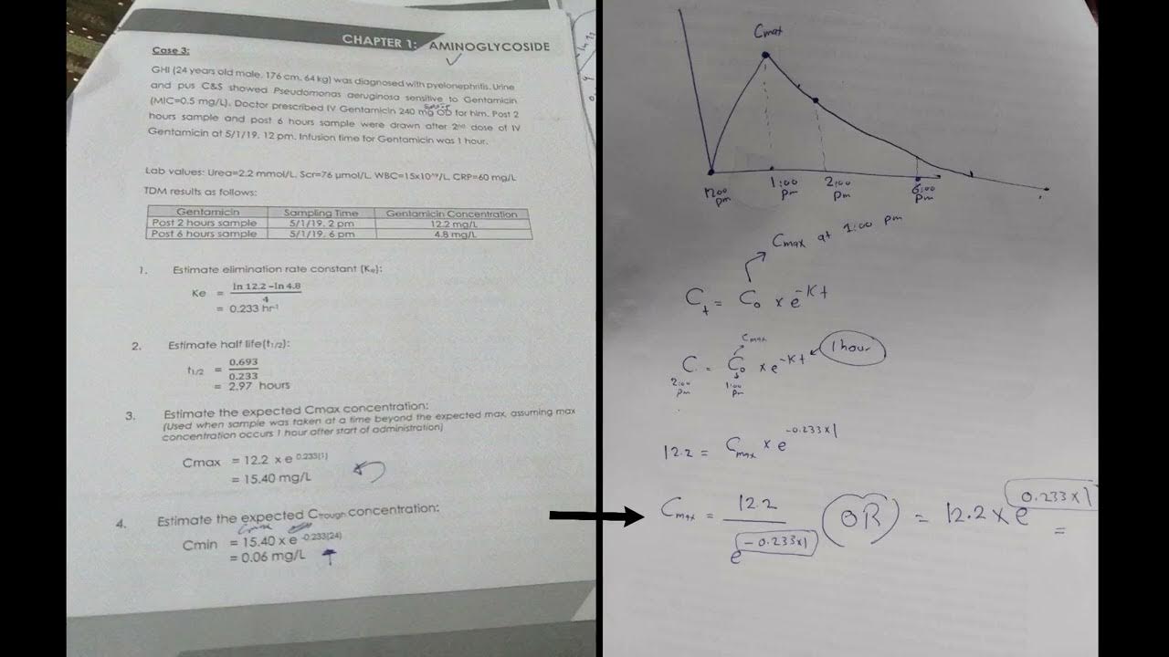 Gentamicin peak & trough steady state concentrations example حركية